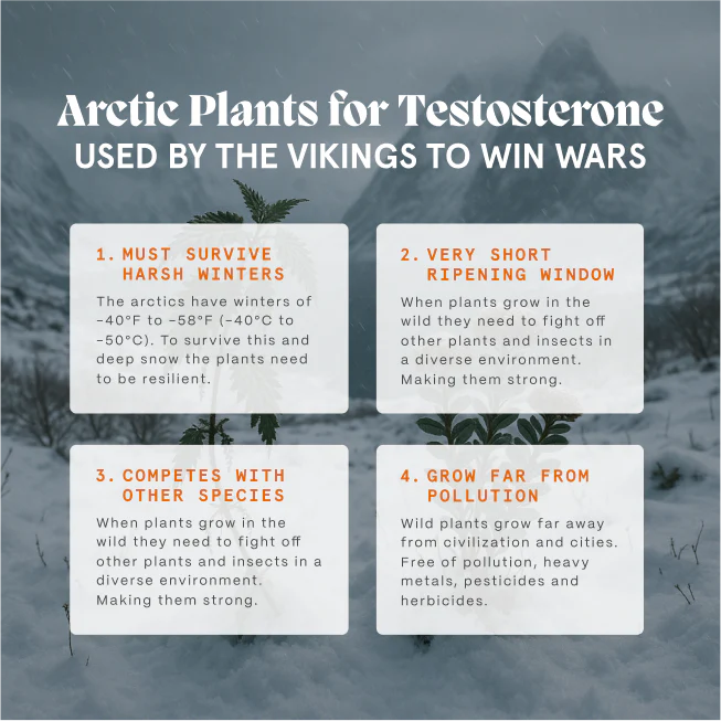Primal Reindeer Testosterone Booster - Image 12