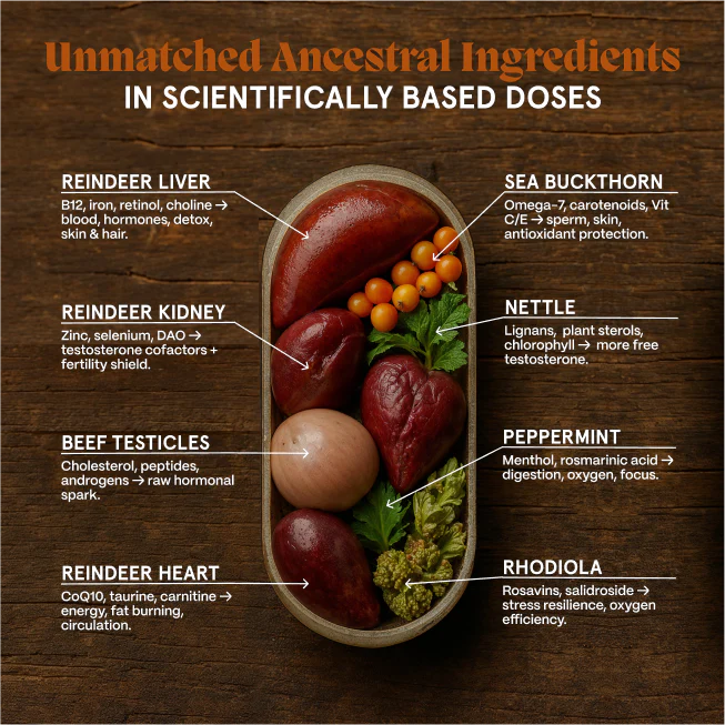 Primal Reindeer Testosterone Booster - Image 3