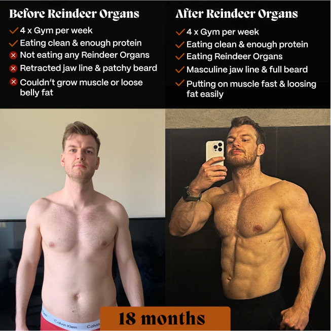 Primal Reindeer Testosterone Booster - Image 5