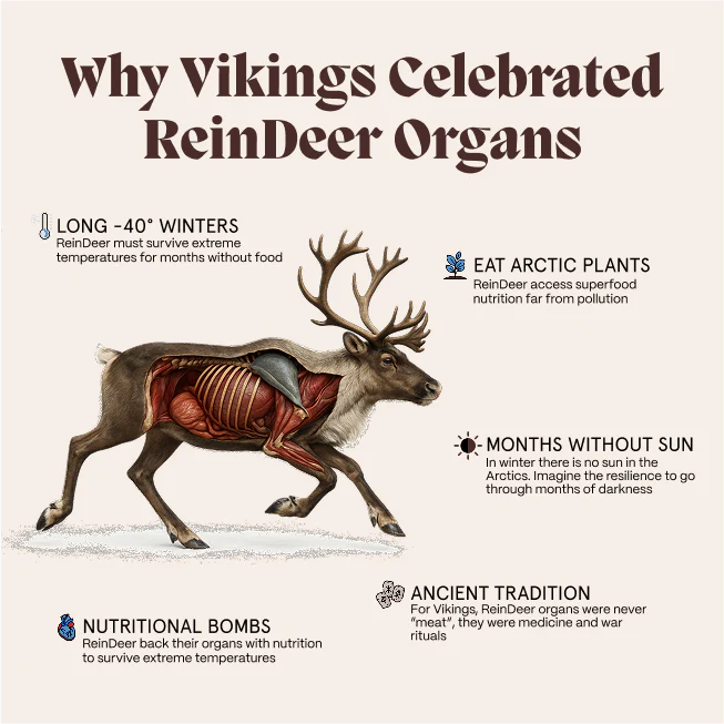 Primal Reindeer Testosterone Booster - Image 7