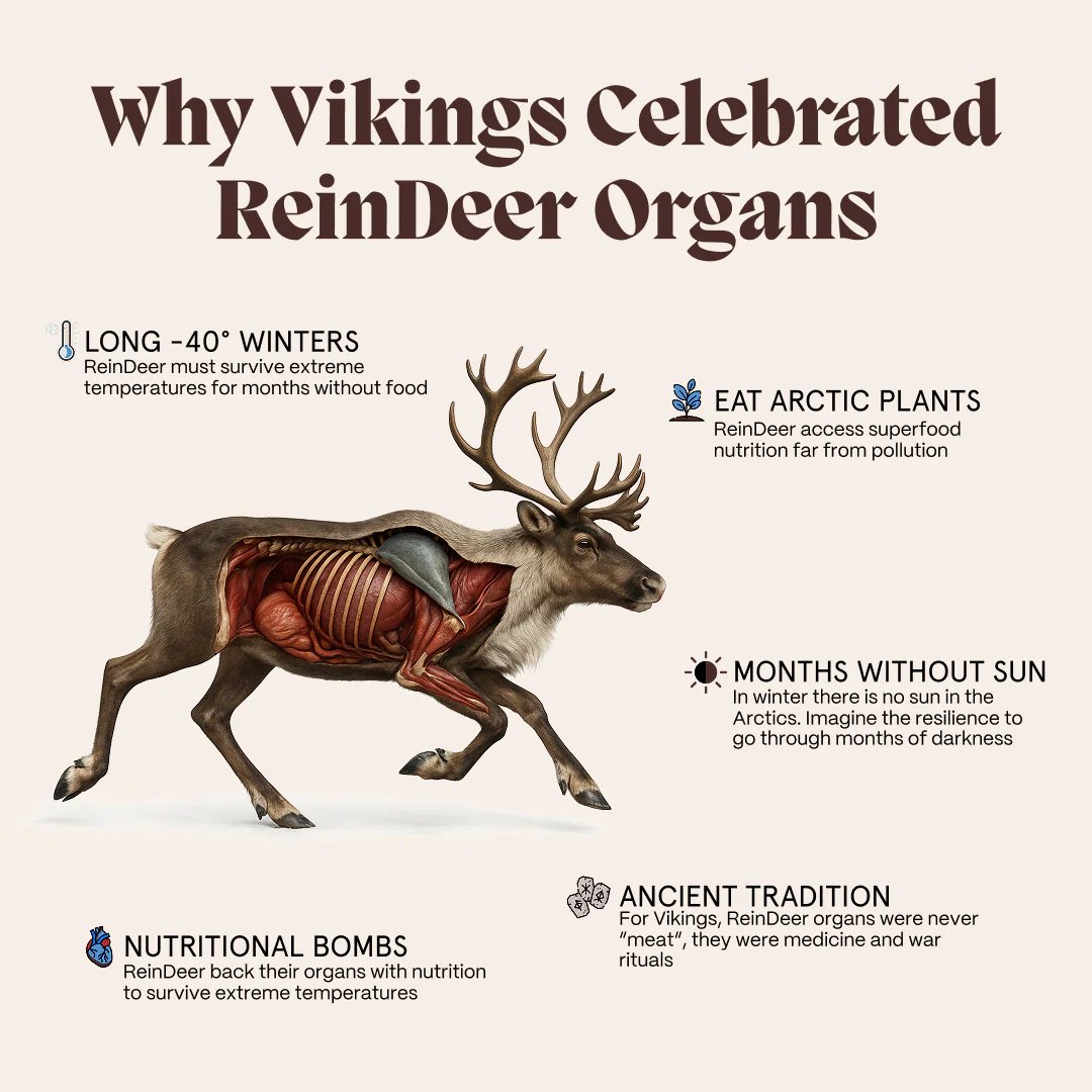 Primal Reindeer Testosterone Support + Free Gift - Image 18