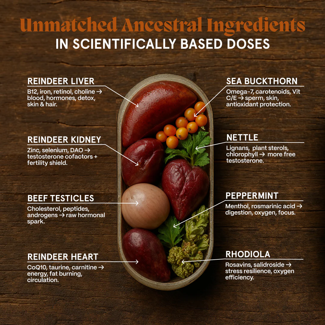Primal Reindeer Testosterone Support + Free Gift - Image 20
