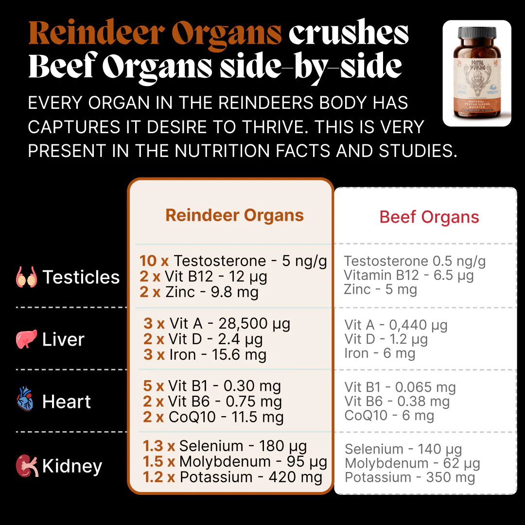 Primal Reindeer Testosterone Support + Free Gift - Image 4