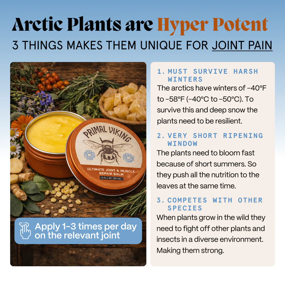 Primal Joint Repair Ritual - Image 22