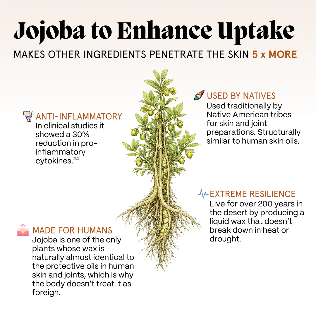 Primal Joint Repair Ritual - Image 23
