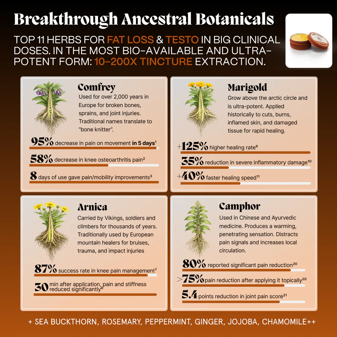 Primal Joint Repair Ritual - Image 7